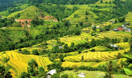 tour-ha-noi-ha-giang-cao-nguyen-da-dong-van-du-gia