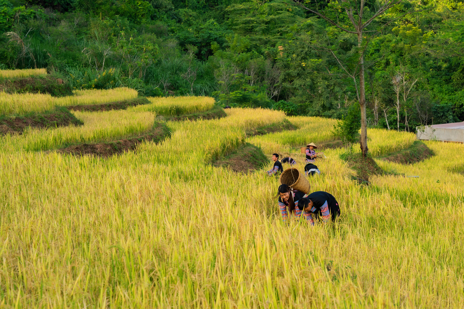 tour-ha-noi-mai-chau