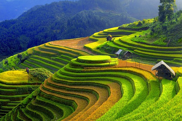 MÙ CANG CHẢI - ĐÈO KHAU PHẠ - TÚ LỆ